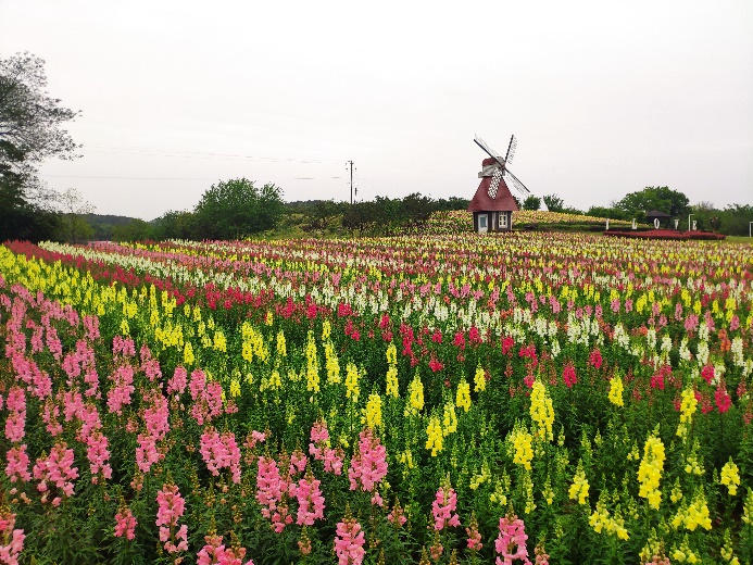 304永利集团登录入口